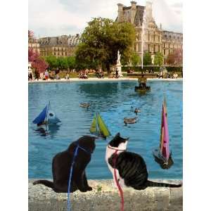  Boats And Ducks In Paris Cat Print