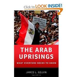  The Arab Uprisings What Everyone Needs to Know [Paperback 