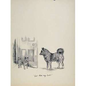   Dog Hound Door Pet Animal Sketch Print Old Art C1938: Home & Kitchen