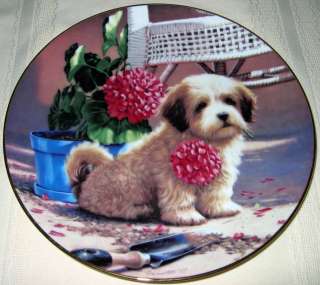 Jim Lamb Puppy LHASA APSO GARDENER Plate Orig Bx+COA  