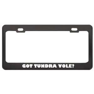 Got Tundra Vole? Animals Pets Black Metal License Plate Frame Holder 