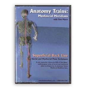    Anatomy Trains   Superficial Back Line DVD