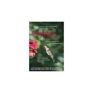  Hummingbirds of the Backyard DVD