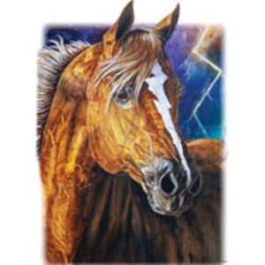  T shirts Animals Wildlife Horses Lightning Strikes 3xl 