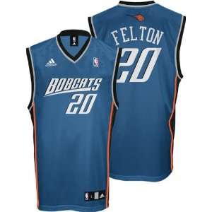 Raymond Felton Youth Jersey: adidas Blue Replica #20 Charlotte Bobcats 