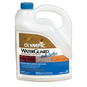   Waterguard Multi  Surface Sealant (55548A/01)