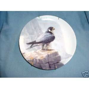  The Peregrine Falcon from Majestic Birds Series Collector 