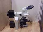 nikon eclipse e600 transmitted reflected and fluorescent microscope 
