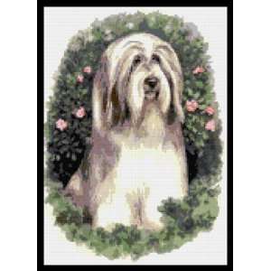  Bearded Collie Dog Counted Cross Stitch Kit Everything 