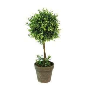  Potted Mixed New Boxwood Single Ball Topiary Trees 19 Home & Kitchen