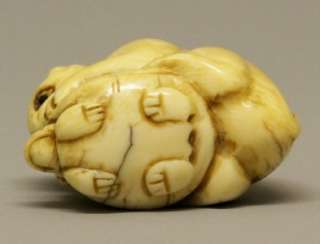 19th C Japanese Carved Ox Bone Monkey & Tortoise Netsuke  