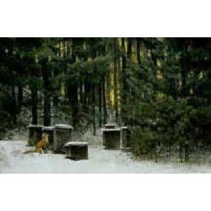  Robert Bateman   Fox and Beehives