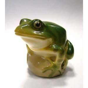  Green Frog Pond
