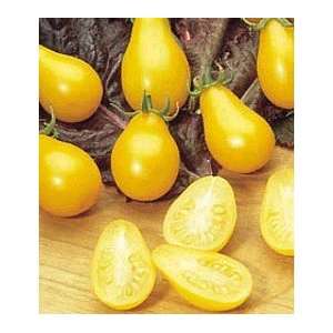 Yellow Pear Tomato 48 Plants   Perfectly Shaped Patio 