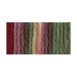  Bernat Softee Chunky Ombre Yarn Summerset Ombre; 6 Items 