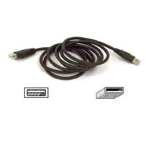   foot USB Extension Cable for all Flip Video Cameras: Electronics