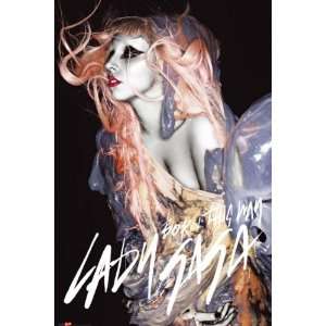  Lady Gaga   Music Poster (Orange Grunge Hair) (Size 24 x 