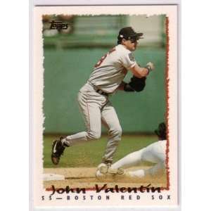    1995 Topps Baseball Boston Red Sox Team Set: Sports & Outdoors