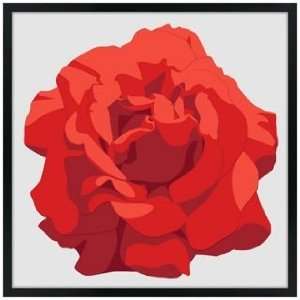  Perfect Red Rose 21 Square Black Giclee Wall Art