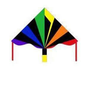  Simple Flyer Black Rainbow Kite: Sports & Outdoors