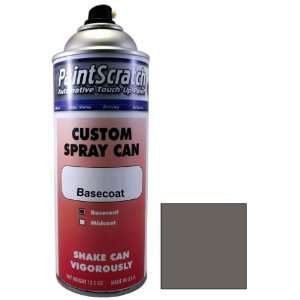 12.5 Oz. Spray Can of Light Charcoal (matt) Touch Up Paint 
