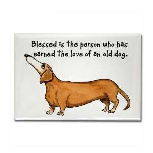  Old Dachshunds Dachshund Rectangle Magnet by  