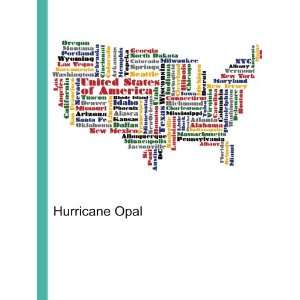  Hurricane Opal Ronald Cohn Jesse Russell Books