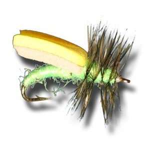  Foam Wing Caddis   Bright Green Fly Fishing Fly: Sports 