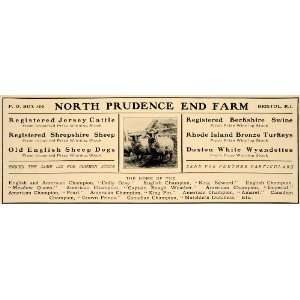  1906 Ad North Prudence End Farm Bristol Cattle Sheep 