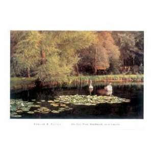 Taylor   The Lily Pond Shudbrook near Lincoln:  Home 