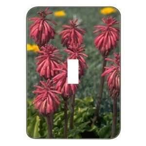     Metal Designer Switch Plate: Flowers/Flowers/Floral   (SCSFL 101