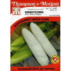  Thompson & Morgan 937 Corn Sweetcorn Mirai M421W (white 
