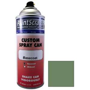   Touch Up Paint for 2002 Nissan Micra (color code: BW3) and Clearcoat