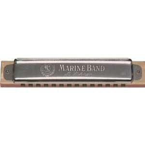   Hohner 365 Steve Baker Special Harmonica Key of A: Musical Instruments