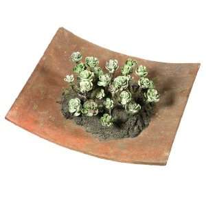    9.5 Baby Succulent Artificial Roof Garden Plant: Home & Kitchen