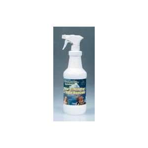  ODOSHIELD SCENTED CONC. GALLON: Kitchen & Dining