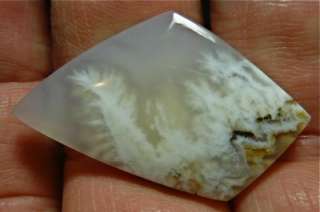 Stinking Water Plume Cabochon 25.5cts.  