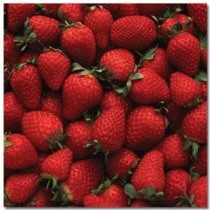  Strawberry Patch Scrapbook Paper: Office Products