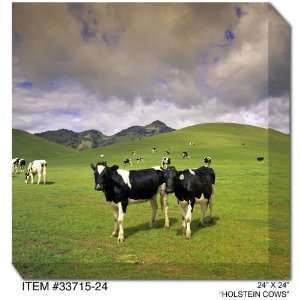  All Weather Art Holstein Cows Print: Home & Kitchen