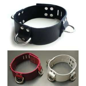  3 D Ring Locking Leather Collar, White, Large: Health 