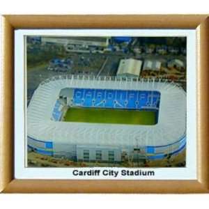  Cardiff City Football Stadium Print