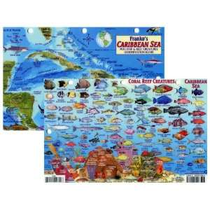  Caribbean Sea Fish Id Card with Island Map 8.5 in by 5.5 