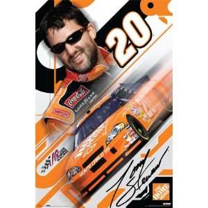 Tony Stewart (Face, Car) Gold Wood Mounted Sports Poster Print   24 X 