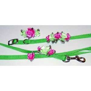 Hot Pink/Lime Petal Flower Collar (Size 12 x 5/8 width):  