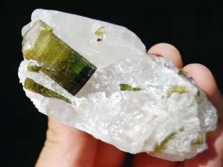Gem Tourmaline Crystals on Quartz, Brazil T684  