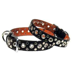  Eyelet & Stud Leather Dog Collar  8 colors: Pet Supplies