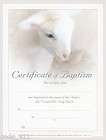 baptism certificates  