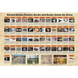 Fossils, Rocks, and Gems of the United States Poster  