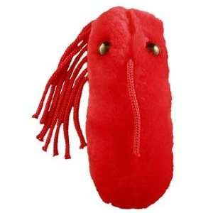   in Size   2 3 Inches) Typhoid Fever (Salmonella typhi) Toys & Games