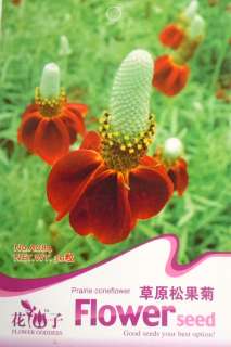 A084 Flower Red Prairie coneflower Mexican Hat Seed Pck  